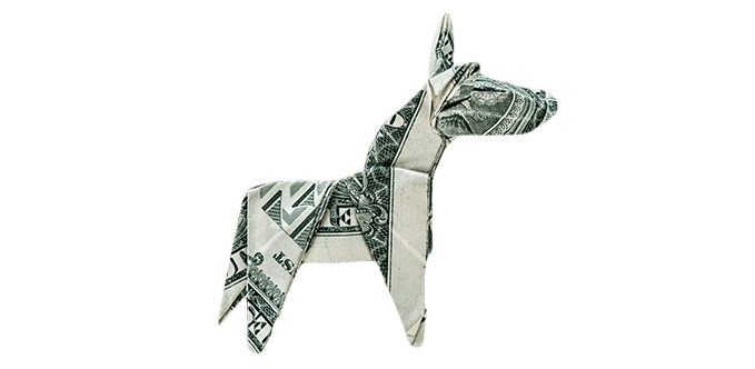 Solution-UnusualTaxRefund-mule